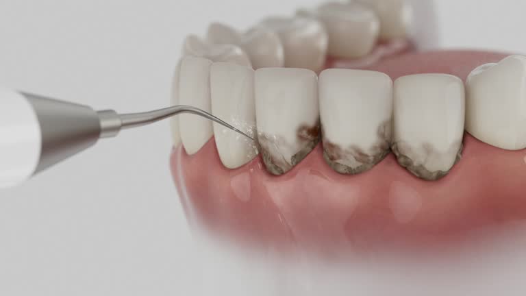 Reliable Dental contractor in Lake St. Croix Beach, MN by Dentist Open Now